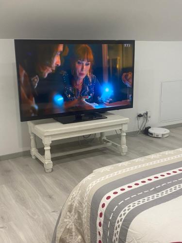 TV a/nebo společenská místnost v ubytování Chez Julie