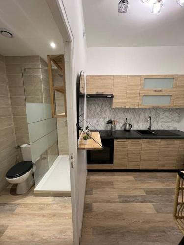 une salle de bain avec une douche, des toilettes et un lavabo dans l'établissement Très bel appartement neuf Avignon, à Avignon
