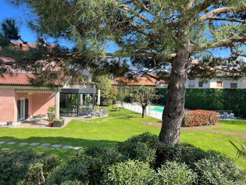 a green yard with a tree and a house at Villa Costantina with heated POOL in Cannobio