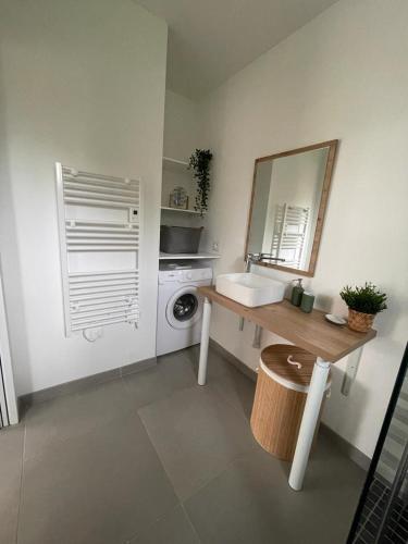 une salle de bain avec un lavabo et un miroir dans l'établissement gîte Les Mondaines-Les Tourterelles, à Favières