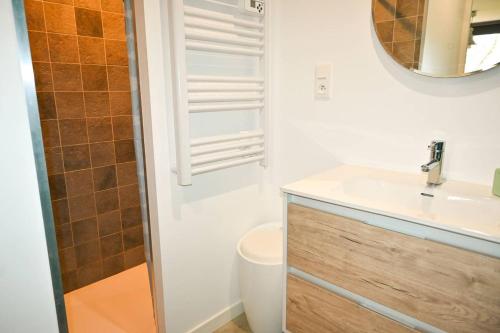 une salle de bain avec un lavabo, des toilettes et un miroir dans l'établissement Petite dune, Port Blanc Vue Mer 20 m, à Penvénan
