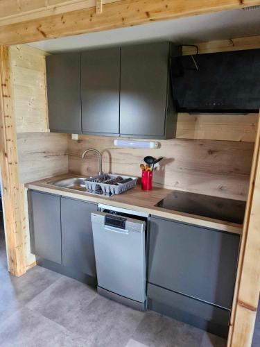 a small kitchen with a sink and a stove at Chalet Edelweis in Plombières-les-Bains