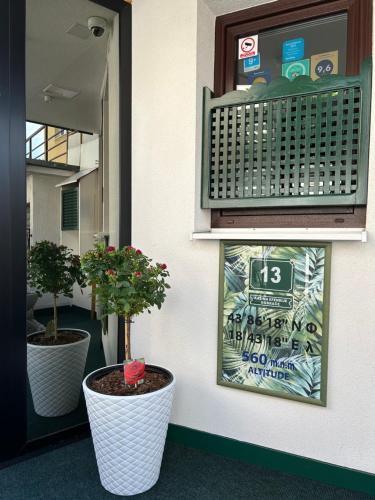塞拉耶佛的住宿－Halvat Guesthouse，两棵盆栽的树坐在墙上
