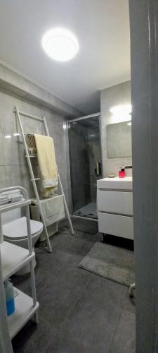 a bathroom with a shower and a sink and a toilet at Apartamento do jardim in Cascais
