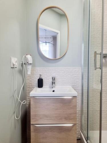 une salle de bain avec un lavabo et un miroir dans l'établissement L'Aiglon de Foch 4#Accès FAC#, à Grenoble