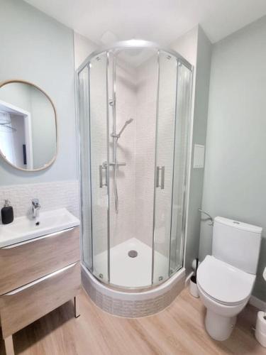 une salle de bain avec une douche avec des toilettes et un lavabo dans l'établissement L'Aiglon de Foch 4#Accès FAC#, à Grenoble