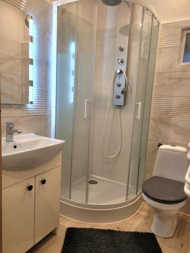 a bathroom with a shower with a toilet and a sink at Apartament Lipnicki 2 in Bielsko-Biała