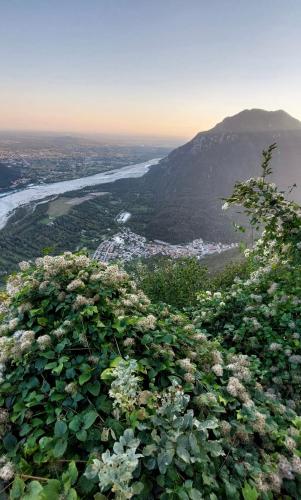 a view of a river and a mountain with flowers at Appartamento - Cave del Predil in Cave del Predil