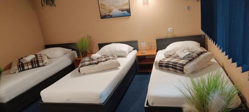 a room with two beds in a room at ZAJAZD ALBATROS Rzeszów SPA in Rzeszów