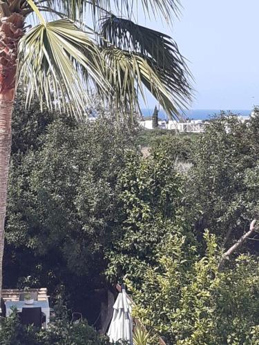 Fotografie z fotogalerie ubytování Lapta Bungalow v destinaci Kyrenia