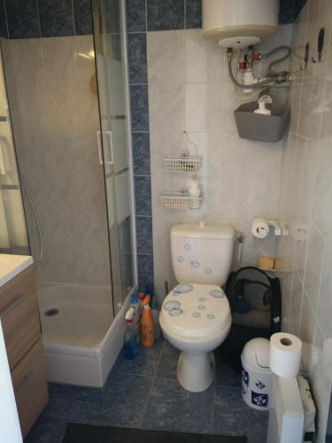 une salle de bain avec toilettes et douche dans l'établissement Le Mariline, à Nice