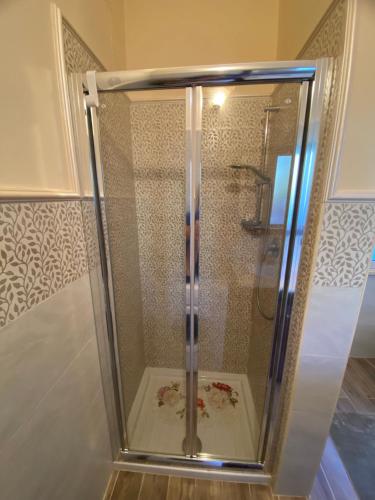 a shower with a glass door in a bathroom at L'albero di limoni sul mare di Pizzo in Pizzo