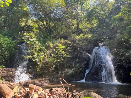 Фотография из галереи Jungle Vacation Home with river and waterfall. в городе Santa Rita