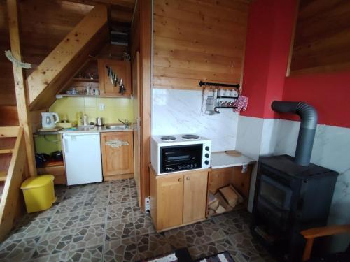 a kitchen with a stove and a stove top oven at Aurora Tara 2 in Jezdići