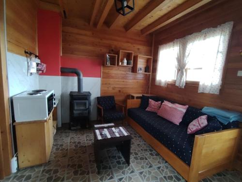 a living room with a couch and a stove at Aurora Tara 2 in Jezdići