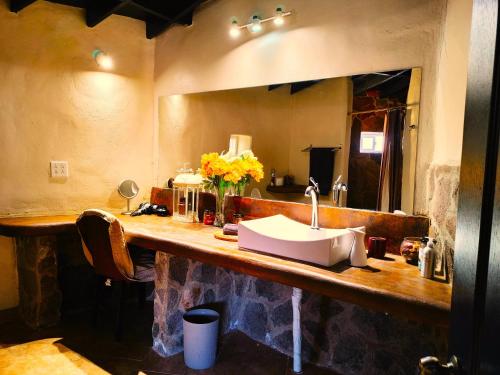 哥德普洛谷的住宿－Hacienda Eco-Domes，浴室的柜台设有水槽和镜子
