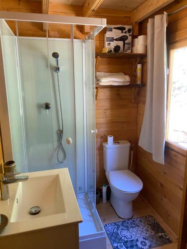 a bathroom with a toilet and a shower and a sink at Chalet de La Peyramont in Lanarce