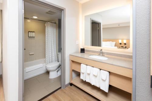 Hyatt Place Charlotte Arrowood في تشارلوت: حمام مع حوض ومرحاض ومرآة
