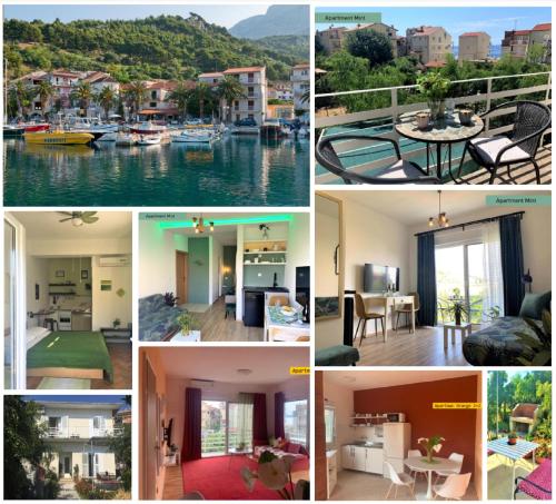 Apartments Garden House