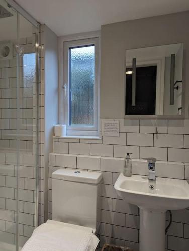 a white bathroom with a toilet and a sink at Pencartref Apartment - 4 Bedrooms, 3 Bathrooms, Sleeps 7-8 in Aberdyfi