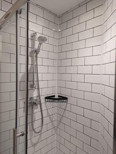 a shower with a basketball hoop in a bathroom at Pencartref Apartment - 4 Bedrooms, 3 Bathrooms, Sleeps 7-8 in Aberdyfi