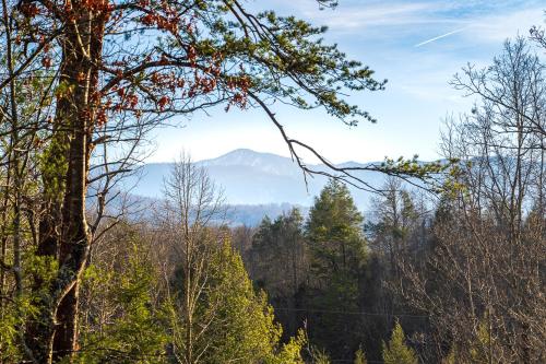 Naturlandskabet i nærheden af feriehuset