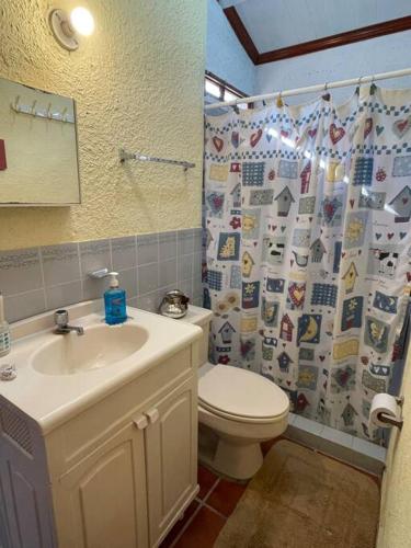 a bathroom with a sink and a toilet and a shower curtain at Casa Villas Suizas I cerca de Laberinto de Albania in Apaneca