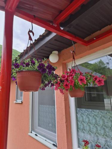 a pair of flower pots hanging from a window at Darija & Srđan in Mojkovac
