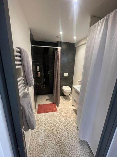 une salle de bain avec une douche, des toilettes et un lavabo dans l'établissement Appartement Cosy - Coeur de ville, à Agen