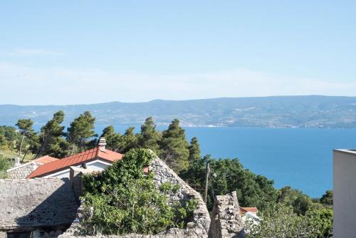 a house on a hill with a view of a lake at House Villa Danica on the hills in Srinjine
