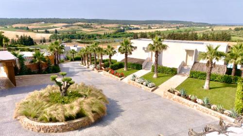 an aerial view of a house with palm trees and a driveway at SANIMAR By Mono Alex in Kassandra