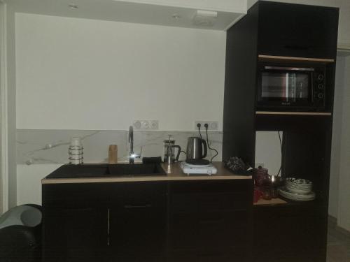 une cuisine avec un évier et un micro-ondes dans l'établissement chaumont centre, 
