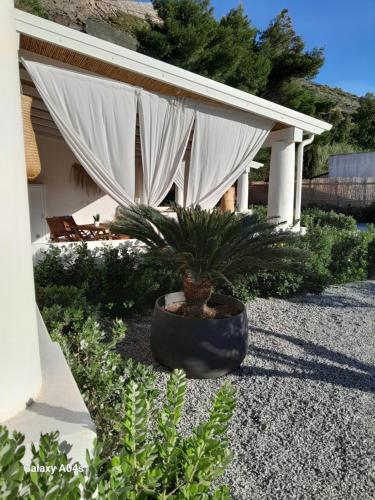 a potted plant sitting on the side of a house at Teia Holiday Apartments in Vulcano