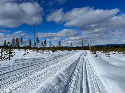 a snow covered road with tracks in a field at Knappgården in Särna
