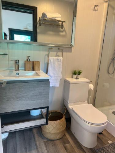 bagno con servizi igienici, lavandino e specchio di Tiny House 2 a 3 personas Malalcahuello a Malalcahuello