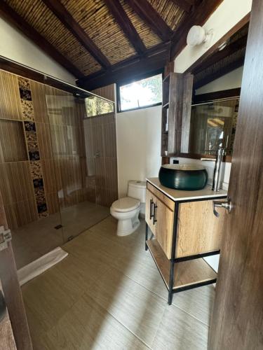 Cabañas Villa Celeste في فيلا دي ليفا: حمام مع حوض ودش ومرحاض