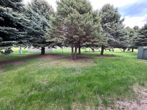 a group of trees in a grass field at De Smet Super Deluxe Inn & suites in De Smet