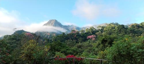 a mountain in the middle of a forest with clouds at Mirador Jungle El Macuti in Rurrenabaque