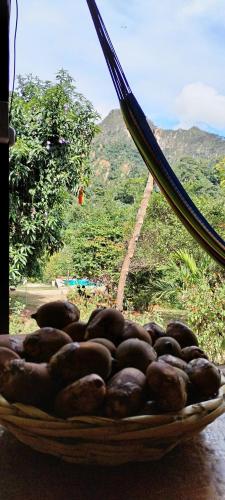a basket of chocolate covered donuts on a table at Mirador Jungle El Macuti in Rurrenabaque