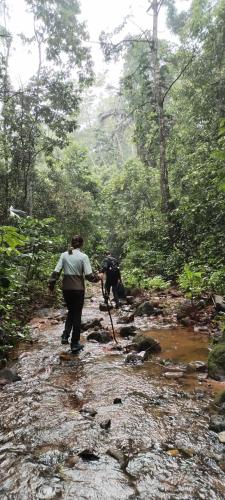 a woman walking down a stream in a forest at Mirador Jungle El Macuti in Rurrenabaque