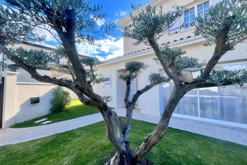 un arbre devant un bâtiment dans l'établissement Villa l'Olivier - Tournon sur Rhône, à Tournon-sur-Rhône
