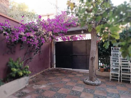 a garage with a tree with purple flowers at Apartamento tipo Dúplex en Sucre con garaje in Sucre