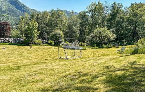 a goal in the middle of a grass field at 3 Bedroom Stunning Home In Vikebygd in Vikebygd