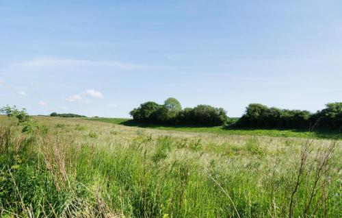 a field of tall grass with trees in the background at Nice Home In Hejls With Wifi in Hejls