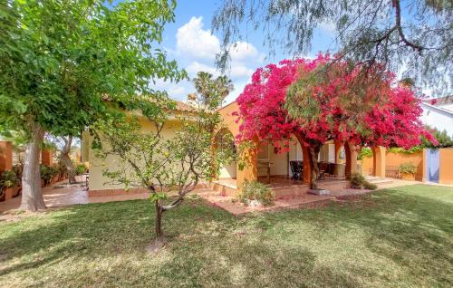 Κήπος έξω από το Casa Buganvilla
