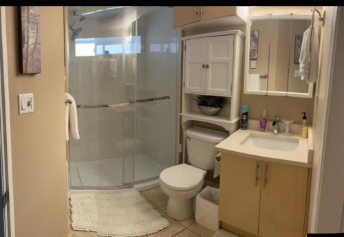a bathroom with a shower and a toilet and a sink at Cozy and modern 3 bedroom in central location! in Victoria