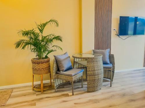 Sofia - Summer Coastal Suites في Bacnotan: طاولة وكراسي مع نبات الفخار في الغرفة