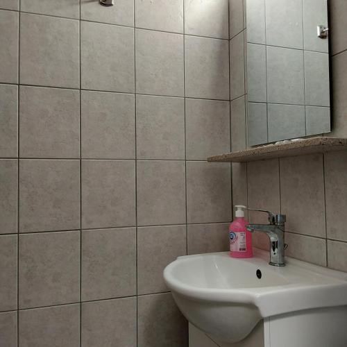 a bathroom with a sink and a bottle of soap at ANNA MARIA Studios in Potos
