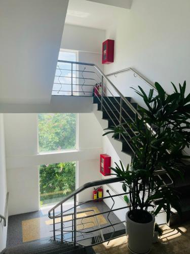 a staircase with a potted plant in a room at KHÁCH SẠN ROMO in Quang Ngai