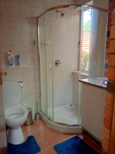 Un baño con ducha y WC. en Hiddengem-Luxy-v enterprises PTY LTD, en Gaborone